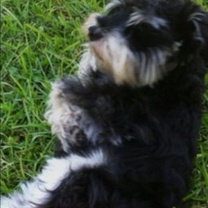 Meet your Posher, Mandy